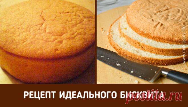 Как испечь идеальный пышный бисквит для торта? | NashaKuhnia.Ru