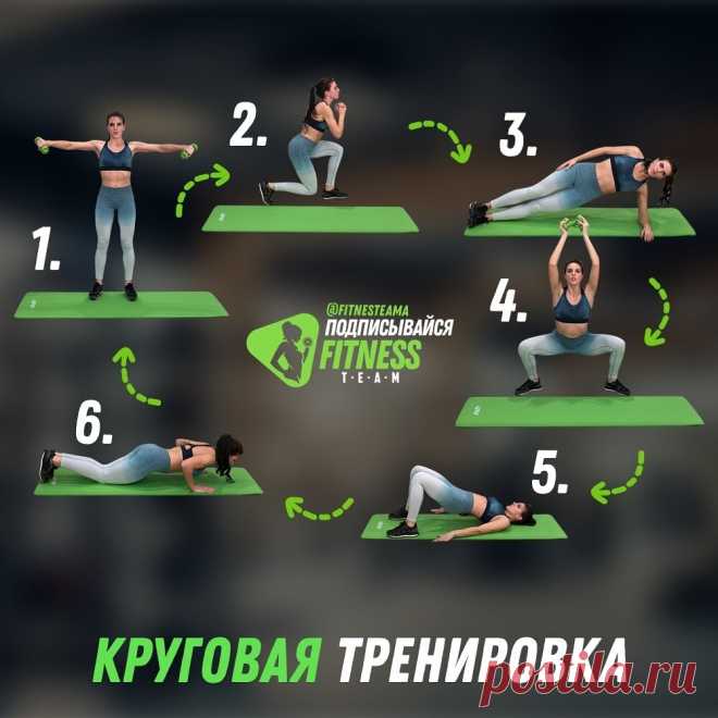Круговая жиросжигающая тренировка в домашних условиях | Fitness Team | Яндекс Дзен