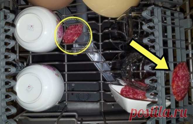 Что произойдёт, если колбаса попадёт в посудомоечную машину: Опыт российской домохозяйки . Милая Я