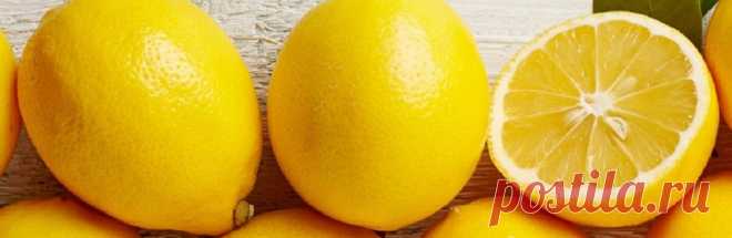 Аграрий Туркестанской области стал миллионером, выращивая лимоны - Сайт города Шымкента - медиаплатформа МирТесен
