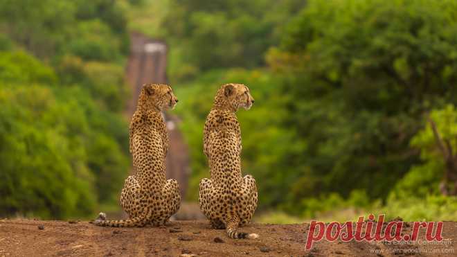 photo by Etienne Oosthuizen