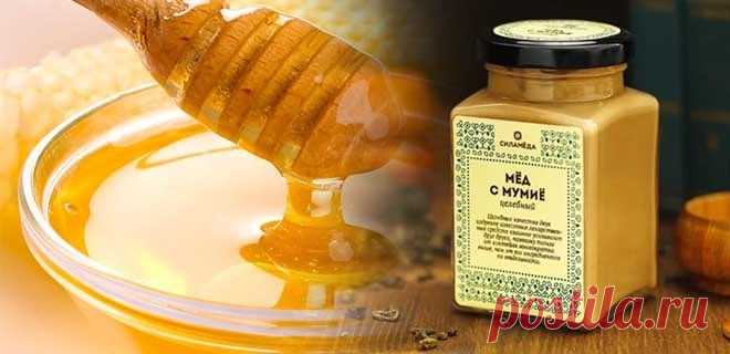 Мед с мумие: полезные свойства и противопоказания