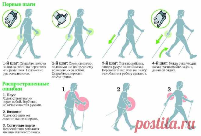 Польза и техника скандинавской ходьбы. Как правильно подобрать палки | Полезные советы
