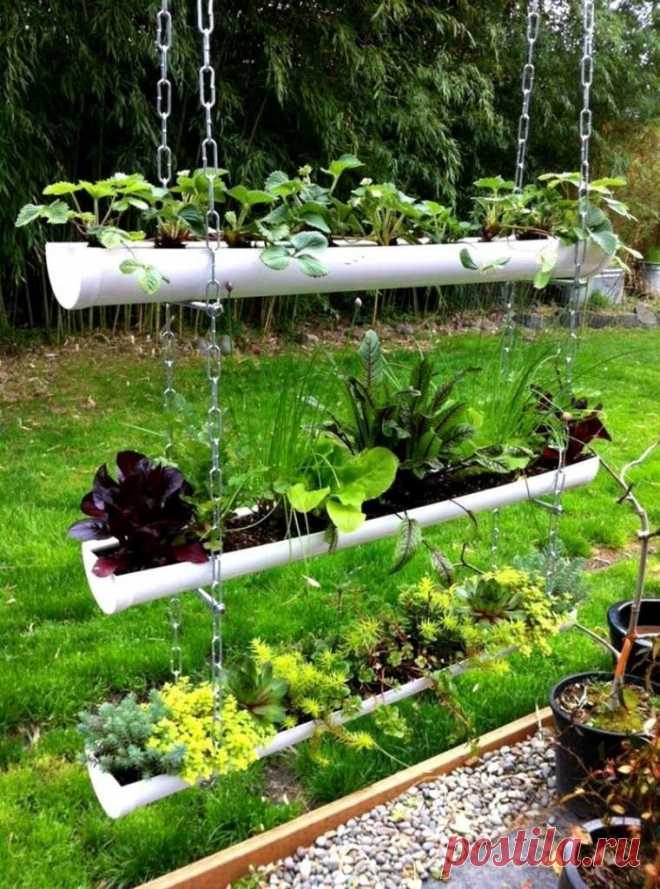 Идеи для выращивания зелени!