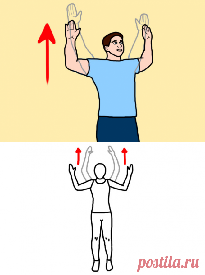 Ежедневное поднятие рук у стены. Полезное упражнение при частых болях в спине и неправильной осанке | Здоровая жизнь | Яндекс Дзен