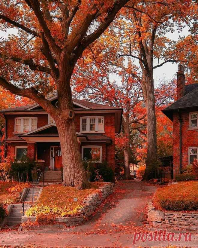 Toronto 🍁🏠🍂 Canada