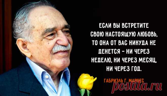 «Не дай себе умереть, не испытав этого чуда — спать с тем, кого любишь».