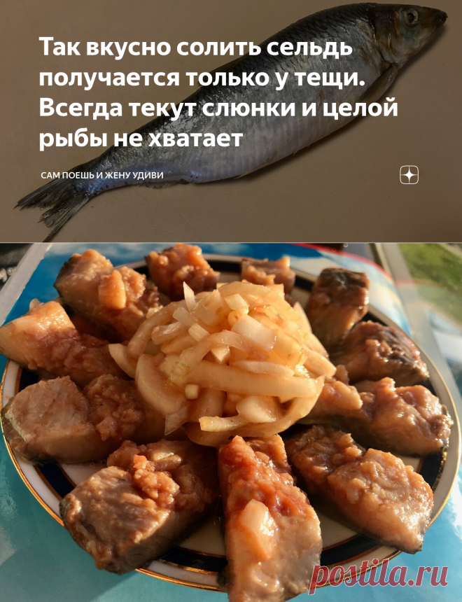 Так вкусно солить сельдь получается только у тещи. Всегда текут слюнки и целой рыбы не хватает | Сам поешь и жену удиви | Яндекс Дзен