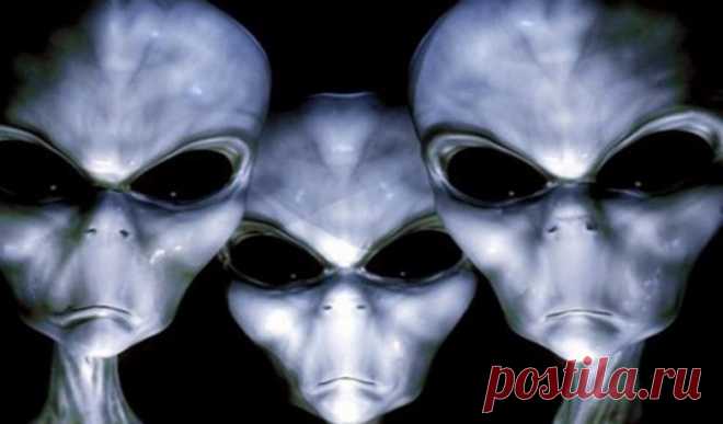 Уфологи назвали 7 главных инопланетных рас / Мистика