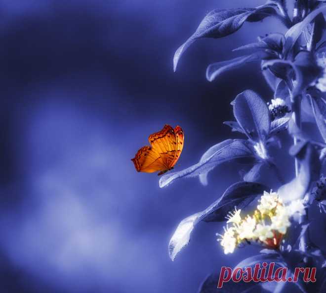 500px / Meditation by Josep Sumalla i Jordana