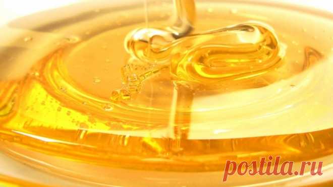 5 основных правил хранения меда — Полезные советы