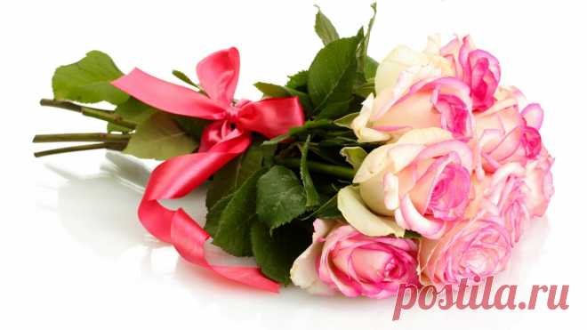 cvety-rozy-buket-rozovye-rozy-1835.jpg (1366×768)