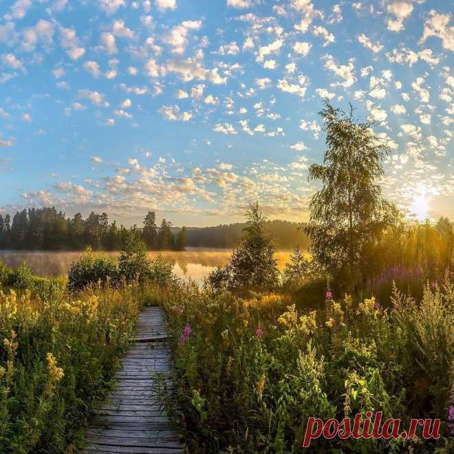 Летний рассвет на Морозовских озёрах. Ленинградская область.
📷 Фёдор Лашков