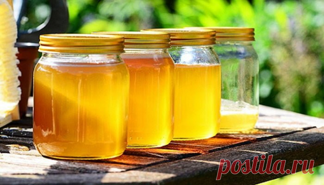 Как правильно хранить мед в квартире, чтобы он не засахарился: почему балкон не лучшее место для продуктов пчеловодства