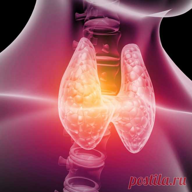 Признаки и симптомы дефицита йода в организме / Будьте здоровы