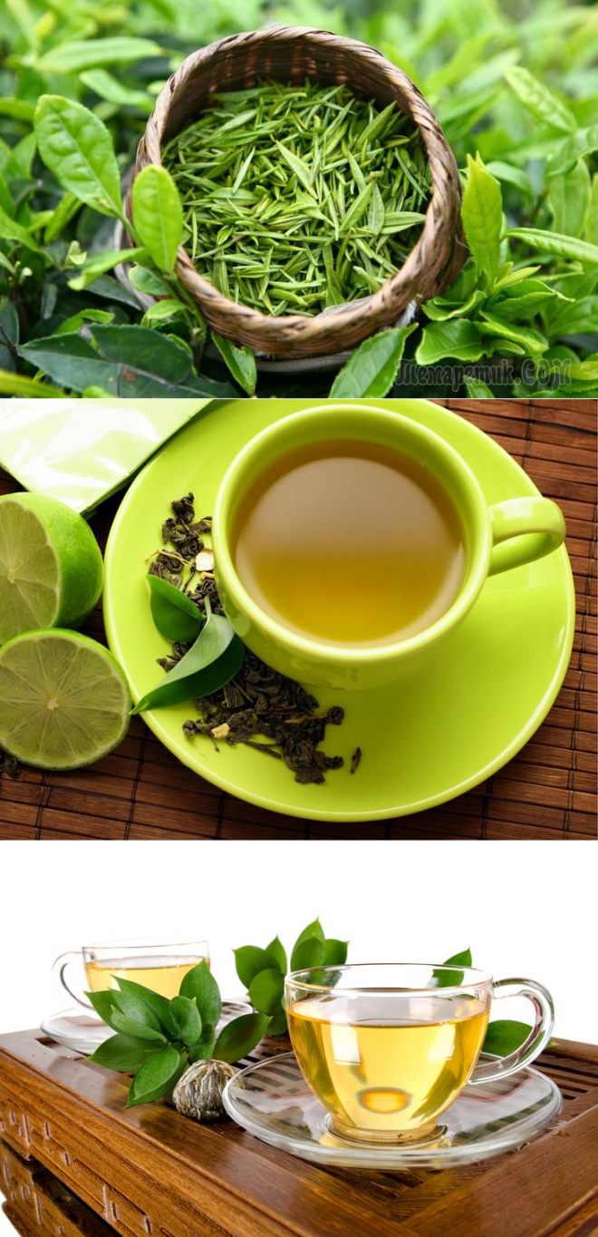 Чай Лунцзин заварка. Зеленый чай. Чашка зеленого чая. Зеленый чай для похудения.