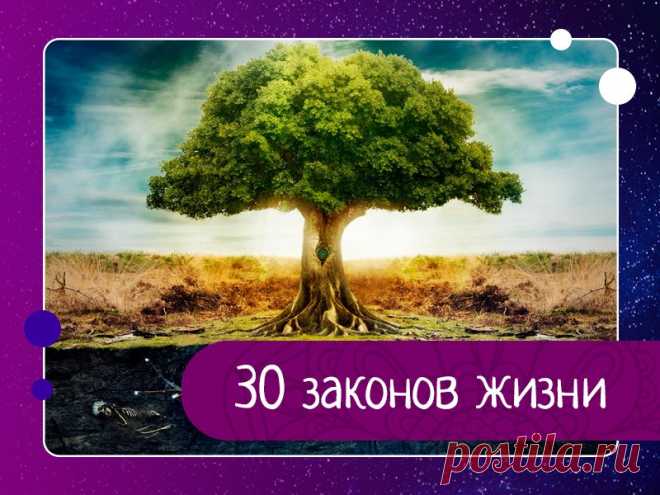 30 законов жизни