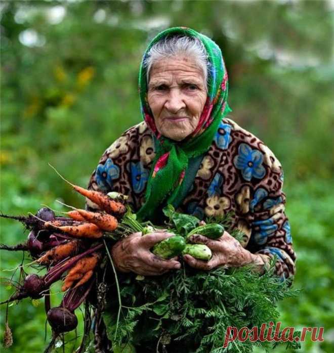 Новый закон фактически возвращает крепостничество на шести сотках