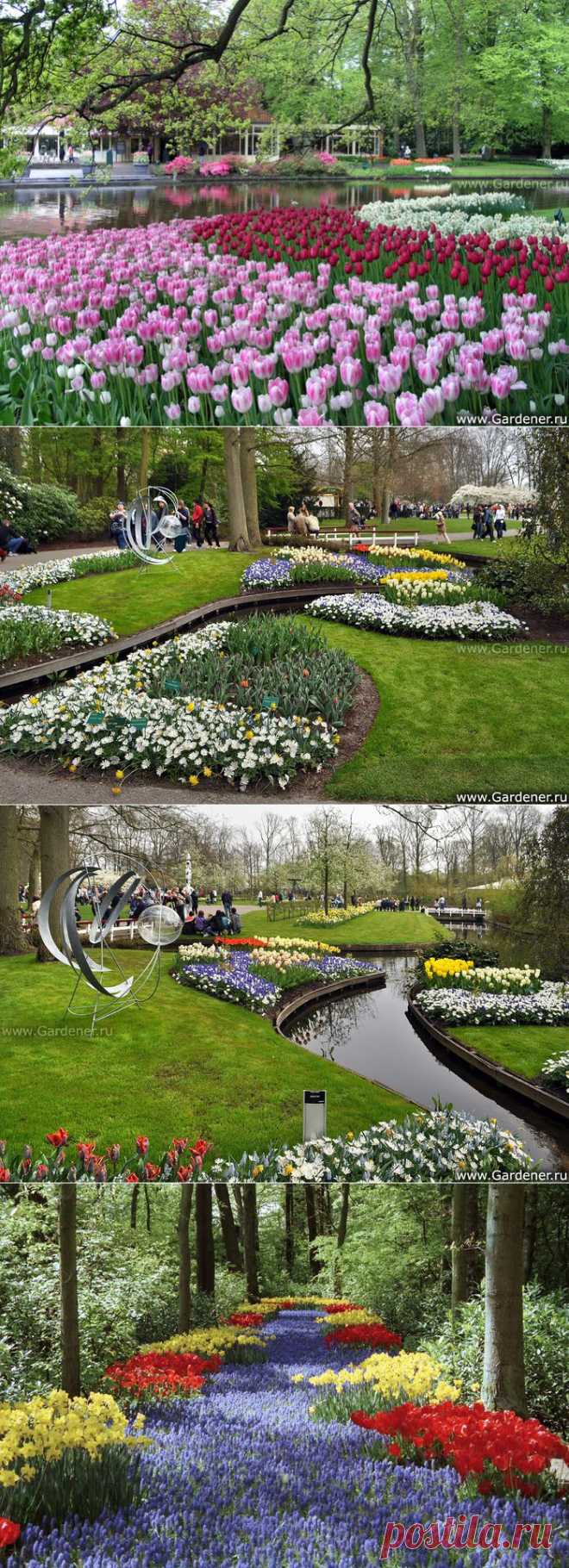 Keukenhof.