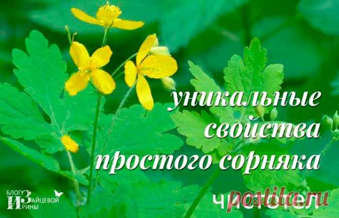 Чистотел. Свойства. Применение. Лечение. Противопоказания Сегодня, дорогие читатели, я хочу поговорить о чистотеле, с которым, я думаю, многие из вас знакомы, особенно те, у кого есть загородные участки. Трава чистотел растет повсеместно как сорняк, который мы, конечно же, уничтожаем, однако этот сорняк обладает поистине уникальными лечебными свойствами,...