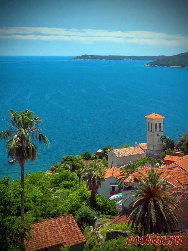 (2) Olga Vasilevskaya
Herceg Novi