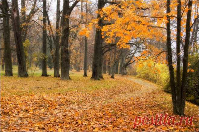 Quiet autumn day - Eleonora Grigorjeva - LensArt.ru