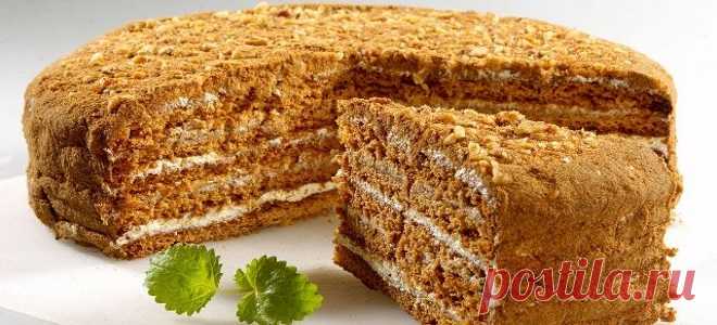 Рецепты медовых коржей для тортов
