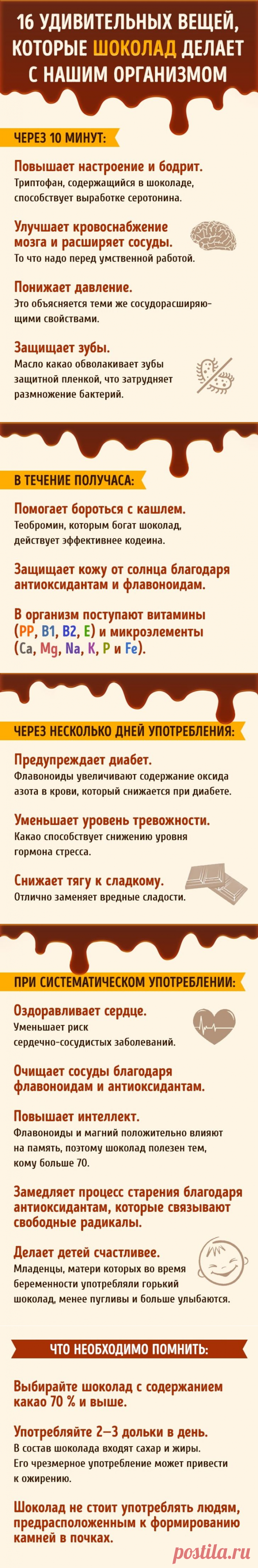 Что происходит с нашим организмом после дольки шоколада | Всегда в форме!