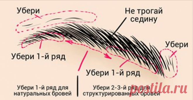 Идеальные брови дома за 3 минуты: просто следуй инструкции!