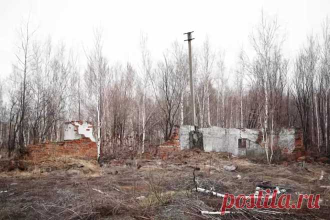 Военно-строительный отряд в/ч11830 Селихино: 294 изображения найдено в Яндекс.Картинках