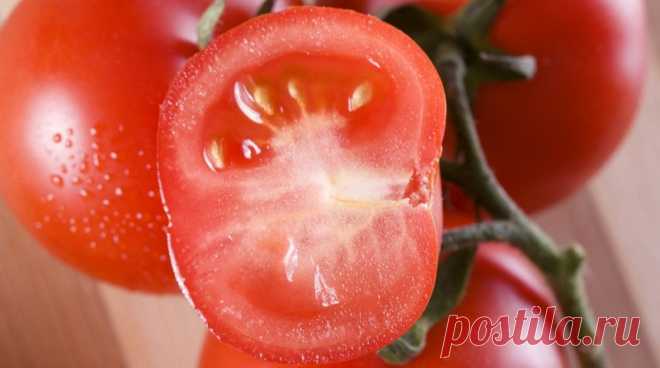 Как получить собственные семена томатов для посева в следующем году | На грядке (Огород.ru)