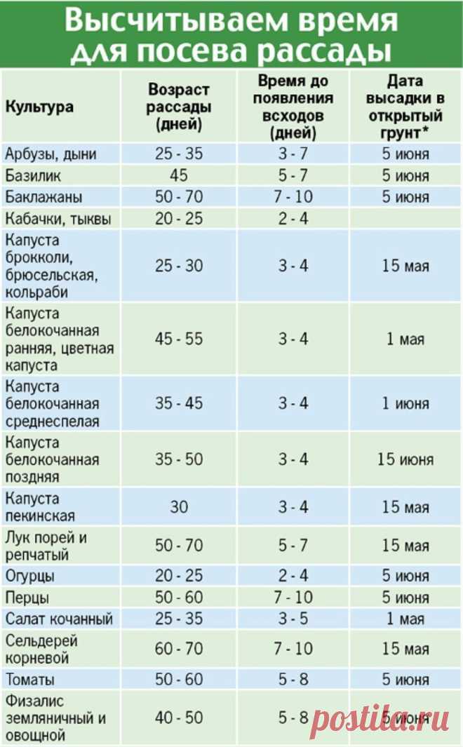 Рассадная считалочка для чайников
 
Как правильно выбрать время для посадки семян
 
В этом году выращивать овощи на своих шести сотках собираются даже те, кто никогда не копался в земле. Что поделаешь - кризис! Конечно, чтобы получить богатый урожай, важно вырастить правильную рассаду.  
Если она будет недозревшая - плоды появятся позже, а если перерастет - ее сложнее сажать, можно поломать хрупкие растения. Поэтому важно грамотно рассчитать время посева семян. В помощь на...