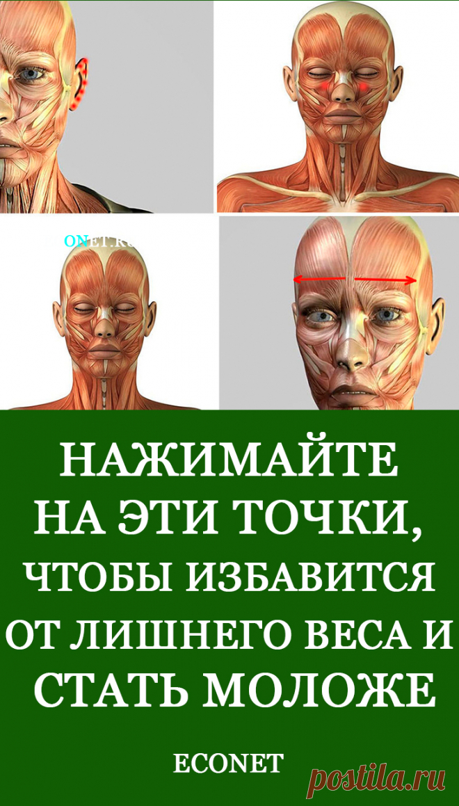 Нажимайте на эти точки, чтобы избавится от лишнего веса и стать моложе

Выражение «как рукой сняло» возникло не на пустом месте. С помощью воздействия на биологически активные точки можно помочь организму избавиться от повышенного аппетита, головной боли, укрепить иммунитет или стать еще красивее.