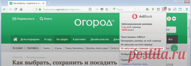 Болезни и вредители томатов в теплице: как распознать и бороться? | На грядке (Огород.ru)