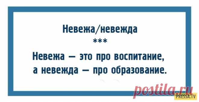 Слова, по которым легко определить уровень культуры