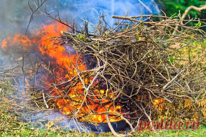 Как правильно сжигать мусор на участке – разбираемся с законами | Дела огородные (Огород.ru)
