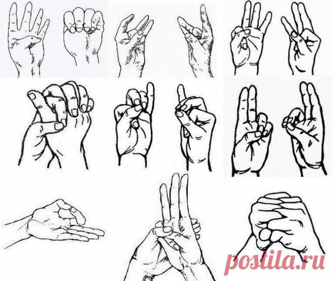 ​Наши пальцы могут делать более здоровым наше тело
