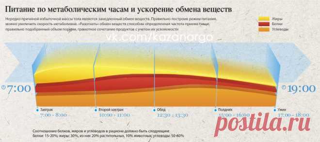 "Питание по метаболическим часам и ускорение обмена веществ".
Здесь подобраны рекомендации для правильного режима питания и увеличения метаболизма: время и частота приёма пищи, объём порций, сочетание продуктов; соотношение жиров, белков и углеводов.
