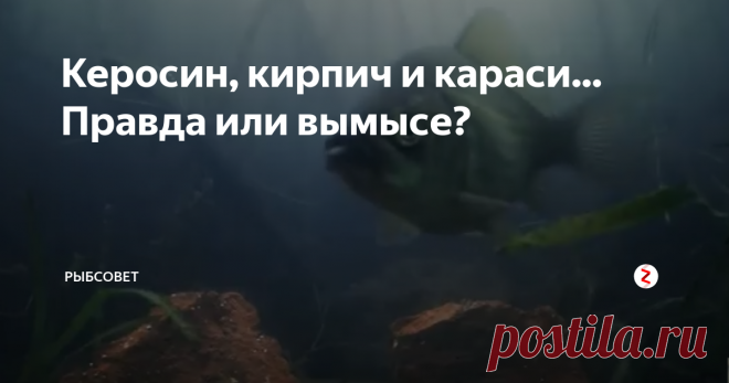 Керосин, кирпич и караси... Правда или вымысе? Существует легенда о том, что кирпич, вымоченный в керосине, привлекает карася с больших расстояний. Проверим миф это или реальность. Кирпич всю ночь пропитывался керосином, а на следующий день отправил его под воду к рыбам.