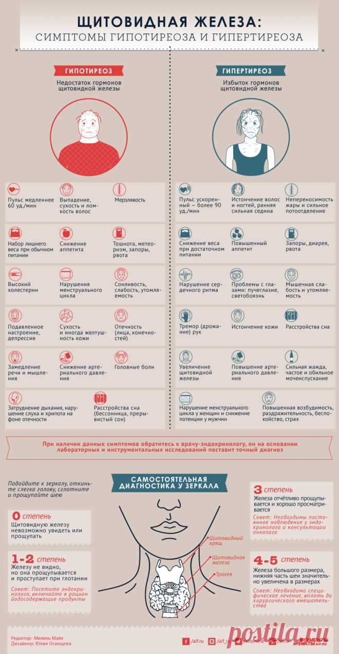 Щитовидная железа: симптомы гипотиреоза и гипертиреоза | Здоровая жизнь | Здоровье | Аргументы и Факты