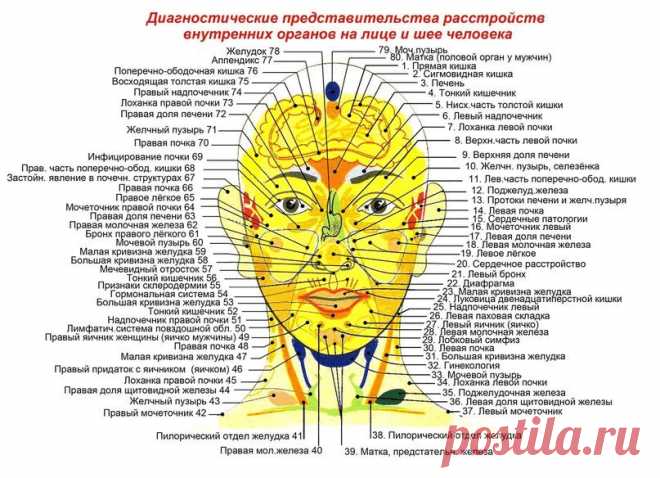 КАК ОПРЕДЕЛИТЬ БОЛЕЗНЬ ВНУТРЕНИХ ОГРАНОВ ПО ЛИЦУ.