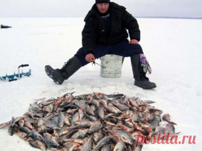 Как атмосферное давление влияет на зимнюю рыбалку - зимняя рыбалка Если говорить об атмосферном давлении в компании рыбаков, то беседующие непременно разделятся на два лагеря.