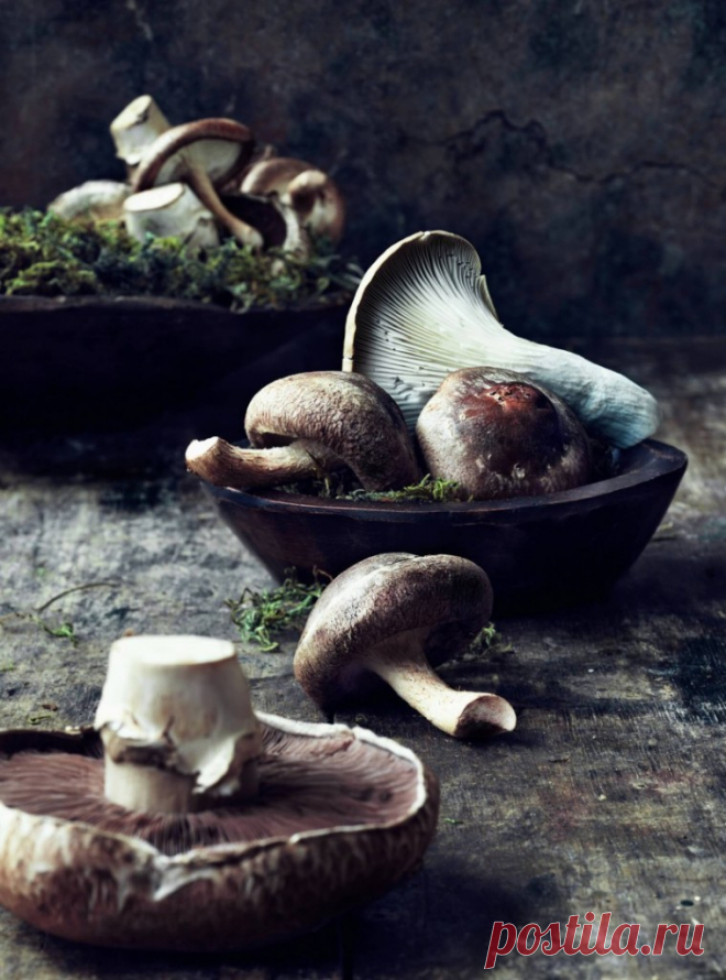 Как солить грибы? 6 вкуснейших рецептов | Вкусные рецепты