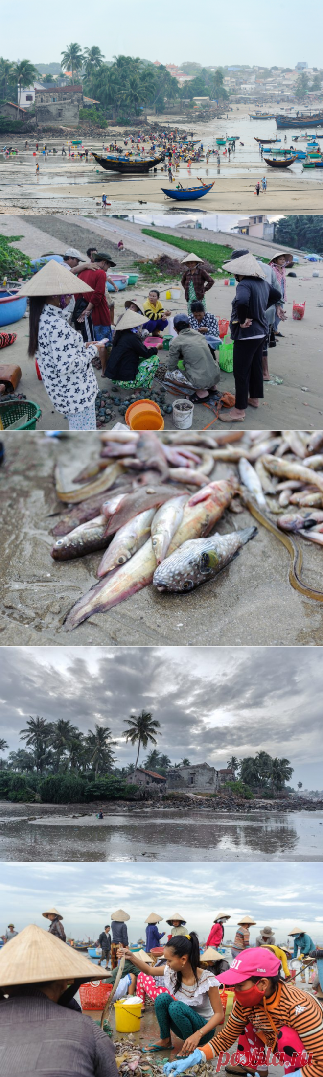 Мы пришли на рыбный рынок! / Туристический спутник