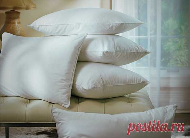 Как я обрабатываю перезимовавшие на даче подушки, чтобы они стали мягкими и приятными | Блог Палыча | Яндекс Дзен