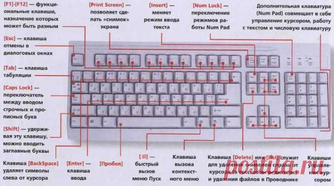 ЗНАЕТЕ ЛИ ВЫ КЛАВИАТУРУ НА СВОЁМ КОМПЬЮТЕРЕ?