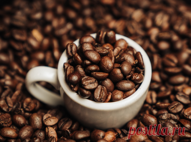 Как отличить хороший кофе от плохого? 7 правил, которые упростят вашу жизнь и научат понимать этот напиток | Палач | Гаджеты, скидки и медиа
