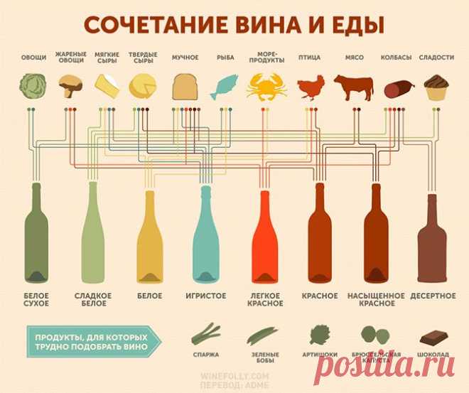 Как правильно подобрать вино к еде