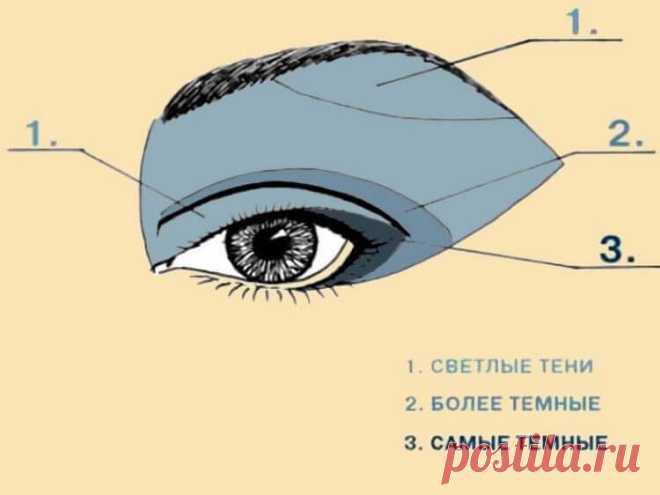 Толковые и понятные правила нанесения теней. Теперь могу краситься в любой технике!