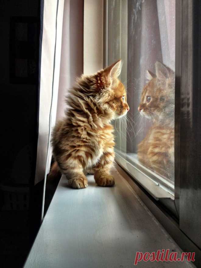 Watching the world go by...